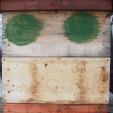 Bienenprojekt