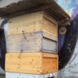 Bee project