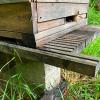 Unfall mit Bienen