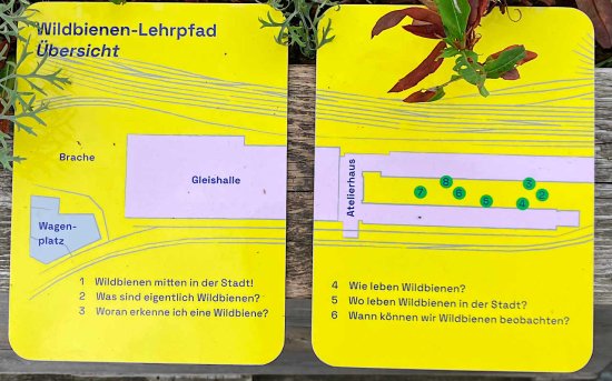 Wildbienen-Lehrpfad in Bremen