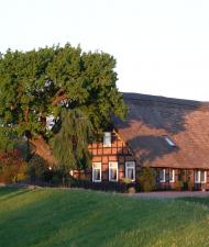 Bauernhaus am Wümmedeich